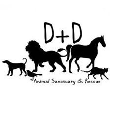 dd